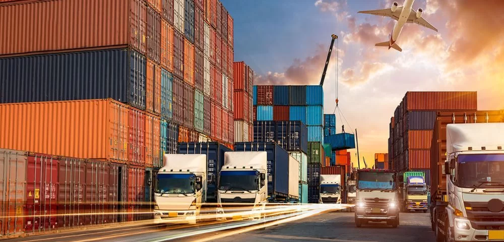 When to Hire a Professional Transport Company for Your Logistics?