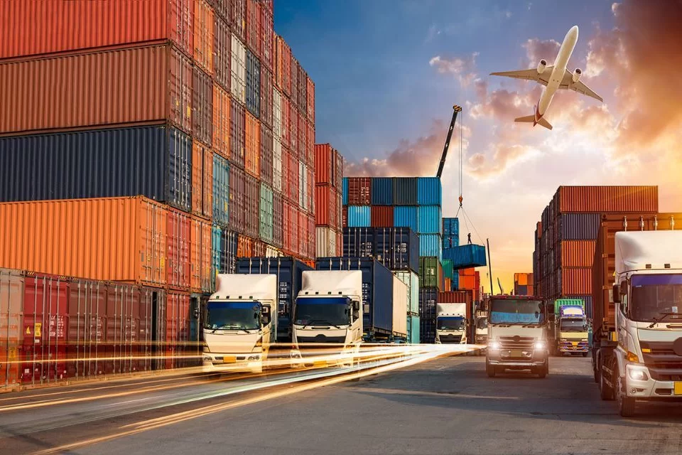 When to Hire a Professional Transport Company for Your Logistics?